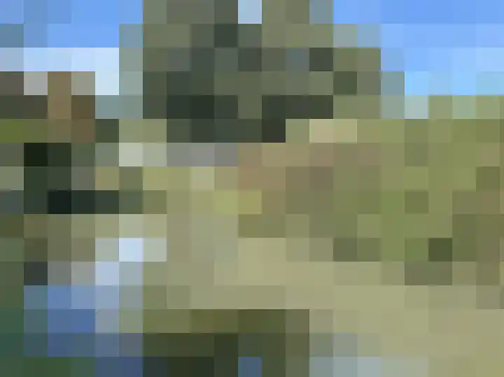 Boomstede 431 Maarssen thumbnail 16