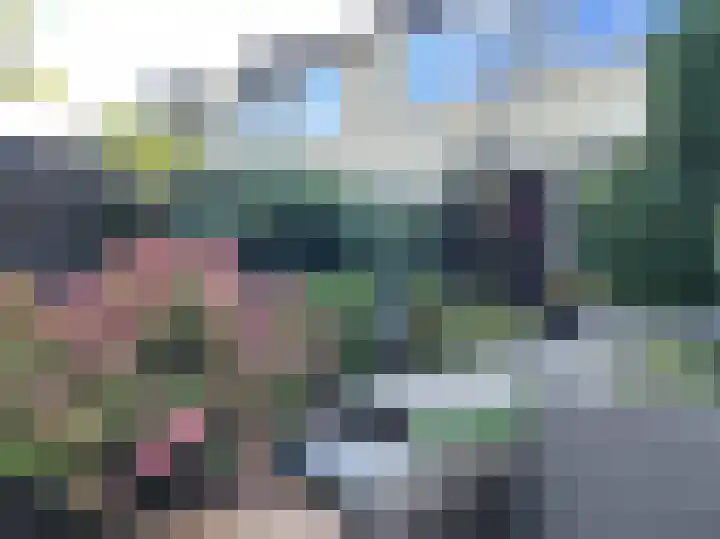 Boomstede 431 Maarssen thumbnail 17