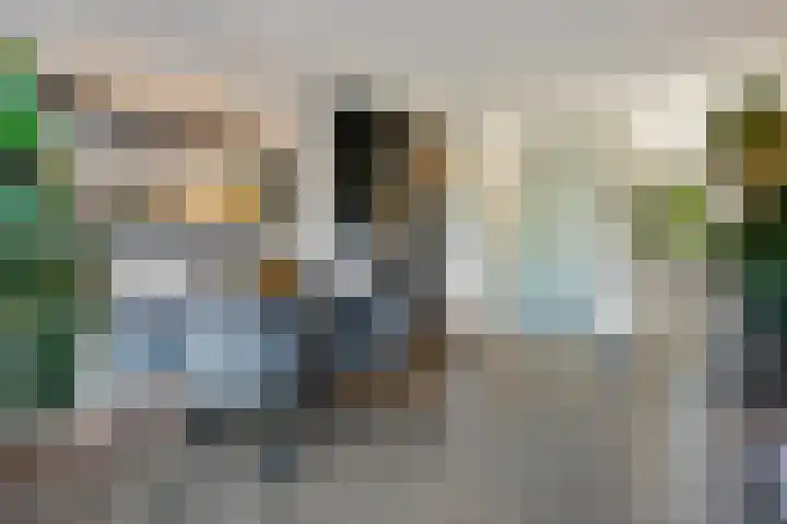 Boomstede 431 Maarssen thumbnail 18