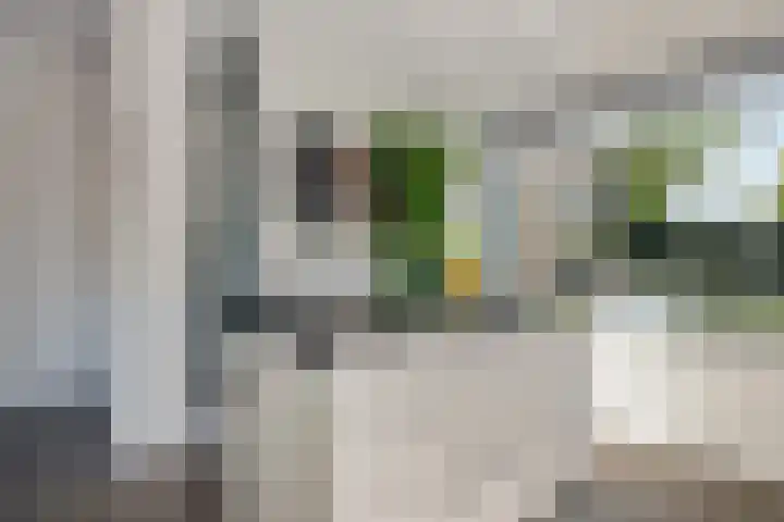 Boomstede 431 Maarssen thumbnail 19