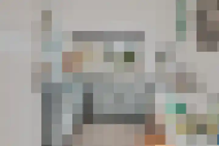 Boomstede 431 Maarssen thumbnail 27