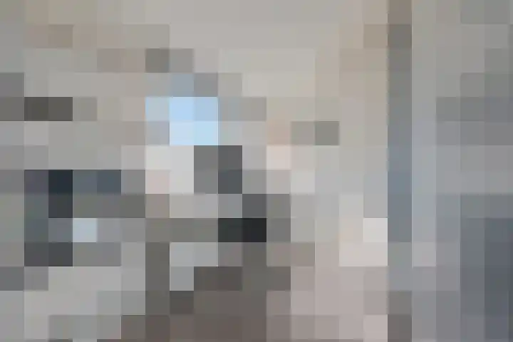 Boomstede 431 Maarssen thumbnail 28
