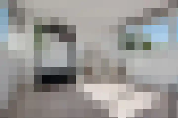 Boomstede 431 Maarssen thumbnail 30