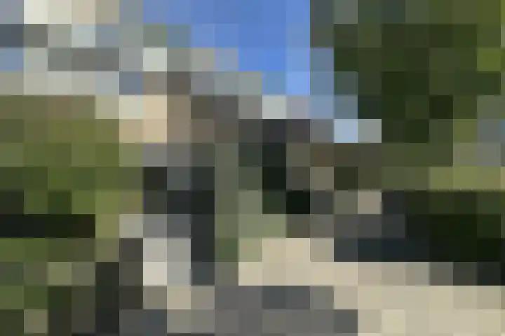 Boomstede 431 Maarssen thumbnail 34