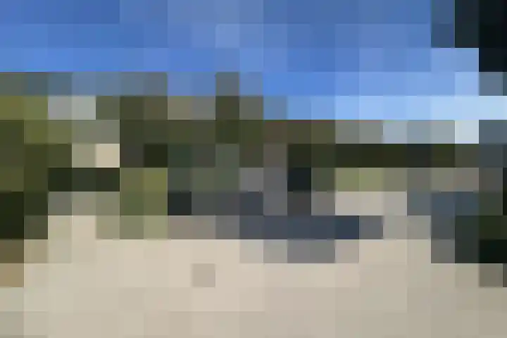 Boomstede 431 Maarssen thumbnail 35
