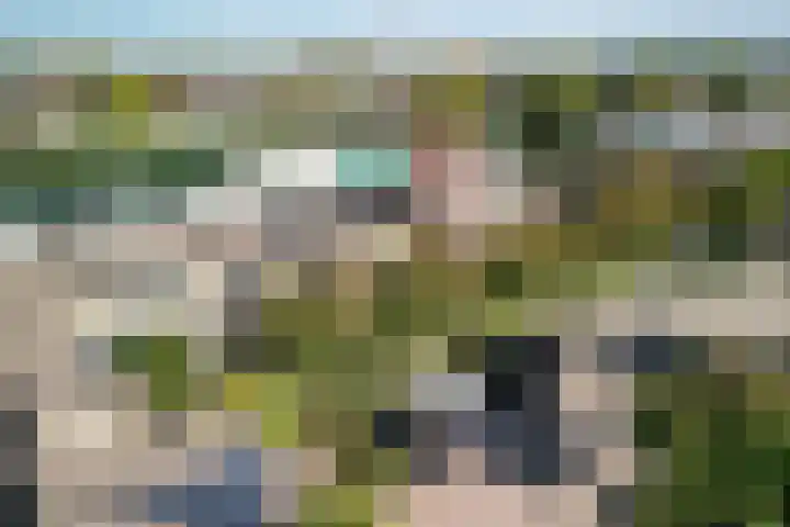 Boomstede 431 Maarssen thumbnail 36