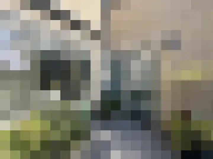 Boomstede 431 Maarssen thumbnail 4