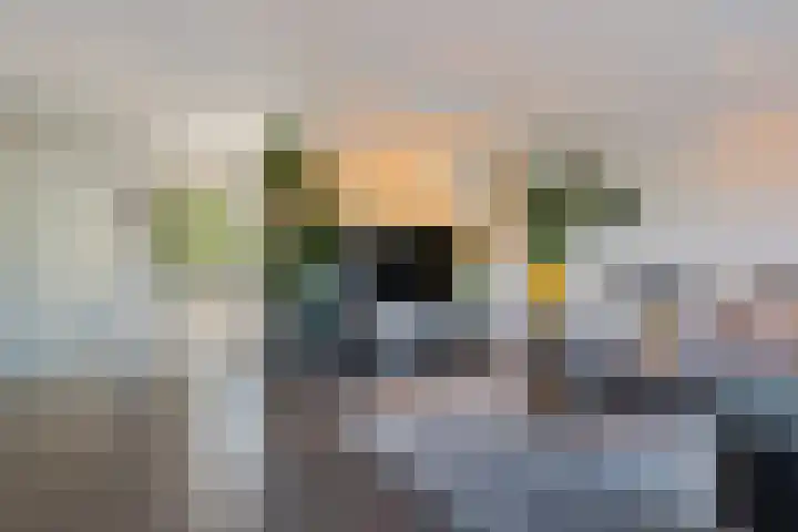 Boomstede 431 Maarssen thumbnail 7