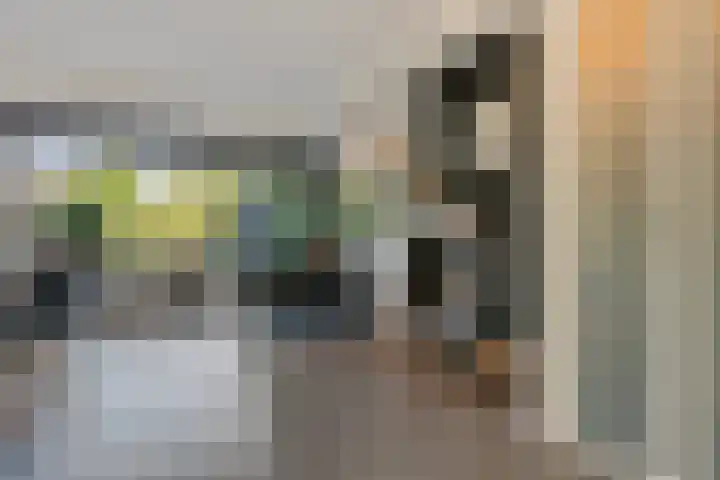 Boomstede 431 Maarssen thumbnail 8