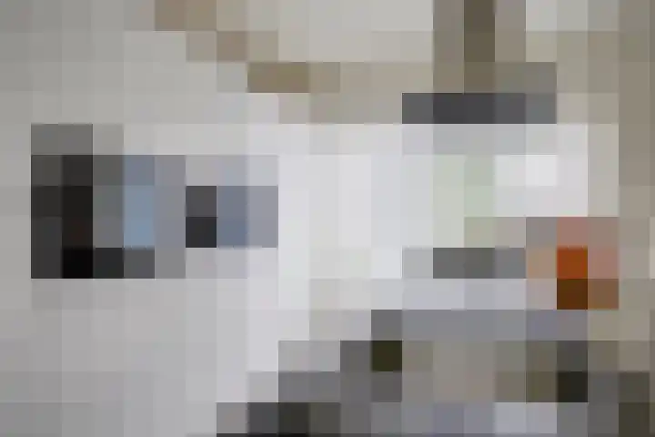 Boomstede 432 Maarssen thumbnail 10