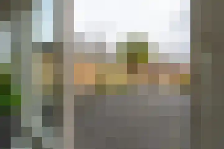 Boomstede 432 Maarssen thumbnail 12