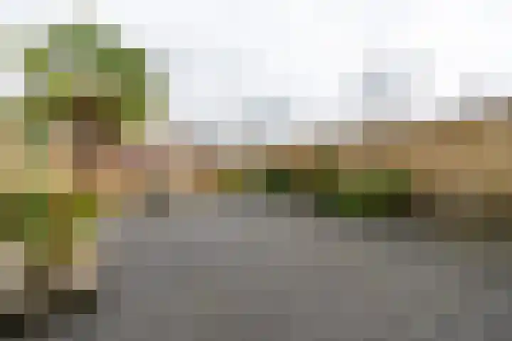 Boomstede 432 Maarssen thumbnail 13