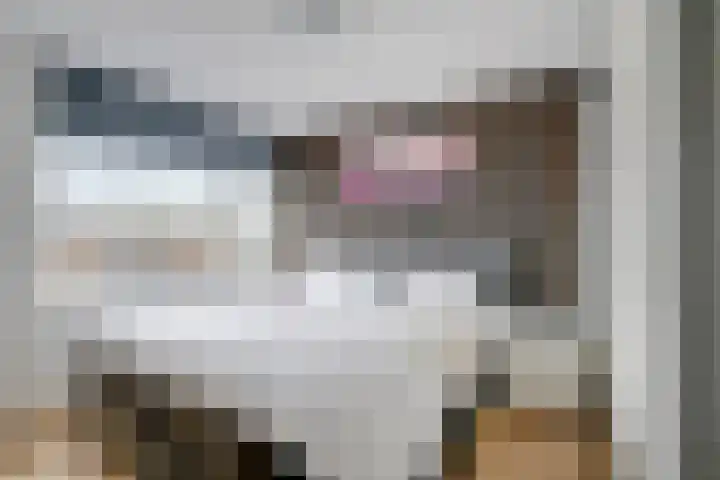 Boomstede 432 Maarssen thumbnail 19