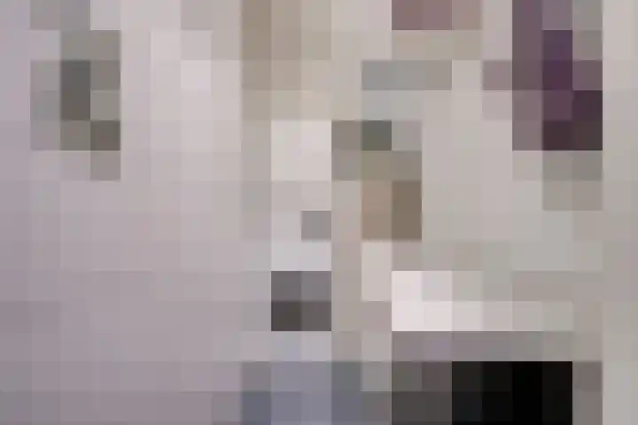Boomstede 432 Maarssen thumbnail 27