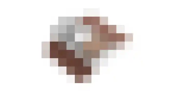 Boomstede 432 Maarssen thumbnail 36