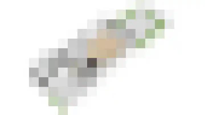 Boomstede 432 Maarssen thumbnail 38