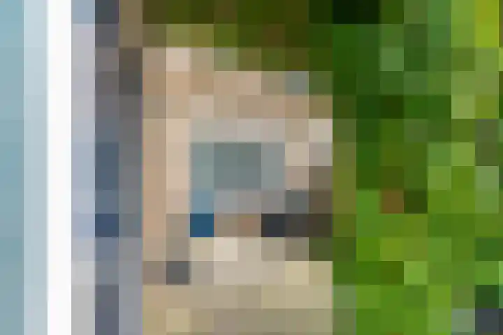 Boomstede 432 Maarssen thumbnail 5