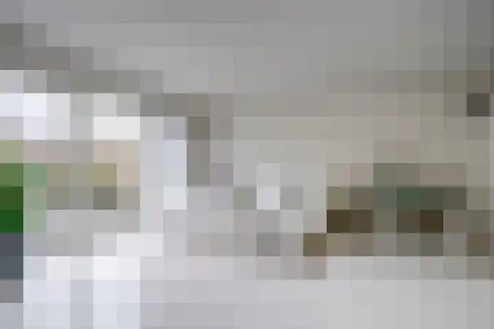Boomstede 432 Maarssen thumbnail 8
