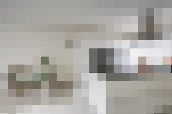 Boomstede 432 Maarssen thumbnail 9