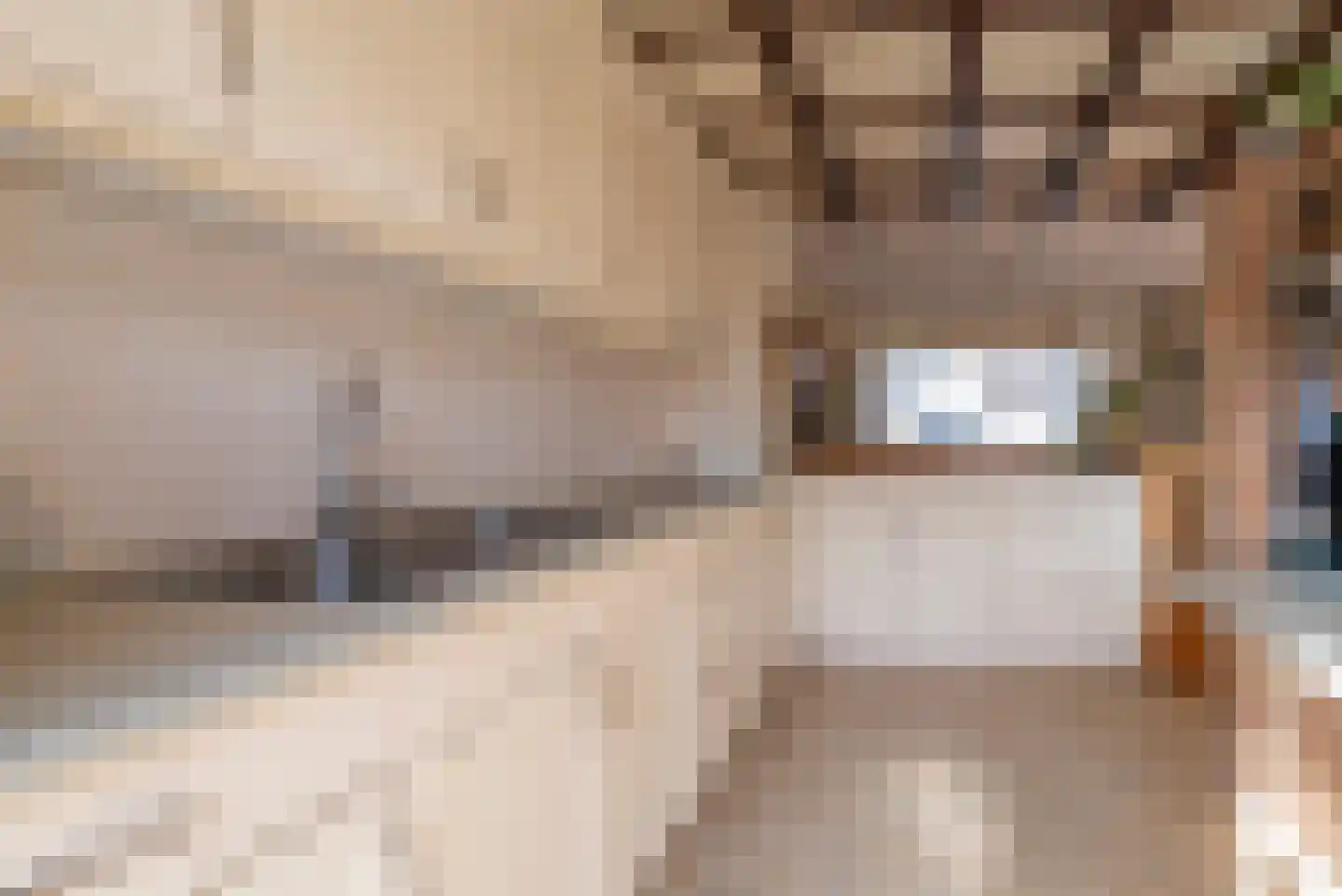 Boomstede 440 Maarssen thumbnail 12