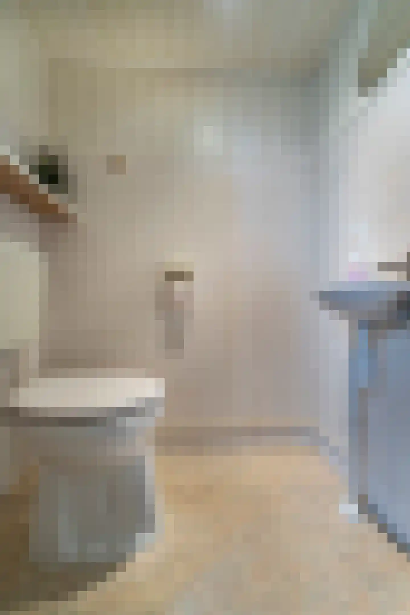Boomstede 440 Maarssen thumbnail 13
