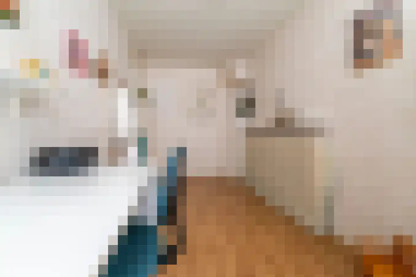 Boomstede 440 Maarssen thumbnail 21