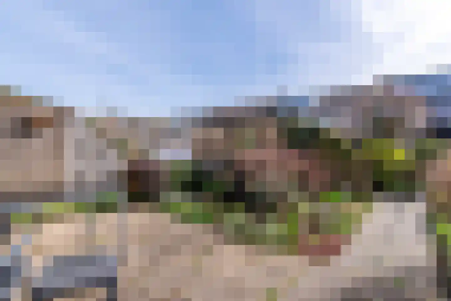 Boomstede 440 Maarssen thumbnail 5