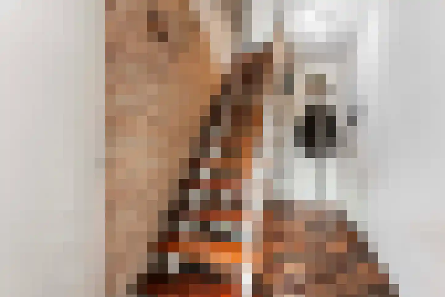 Boomstede 487 Maarssen thumbnail 13
