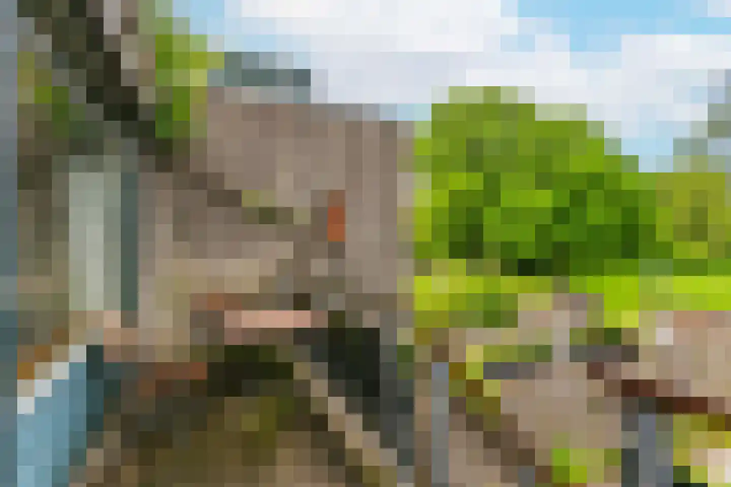 Boomstede 487 Maarssen thumbnail 17