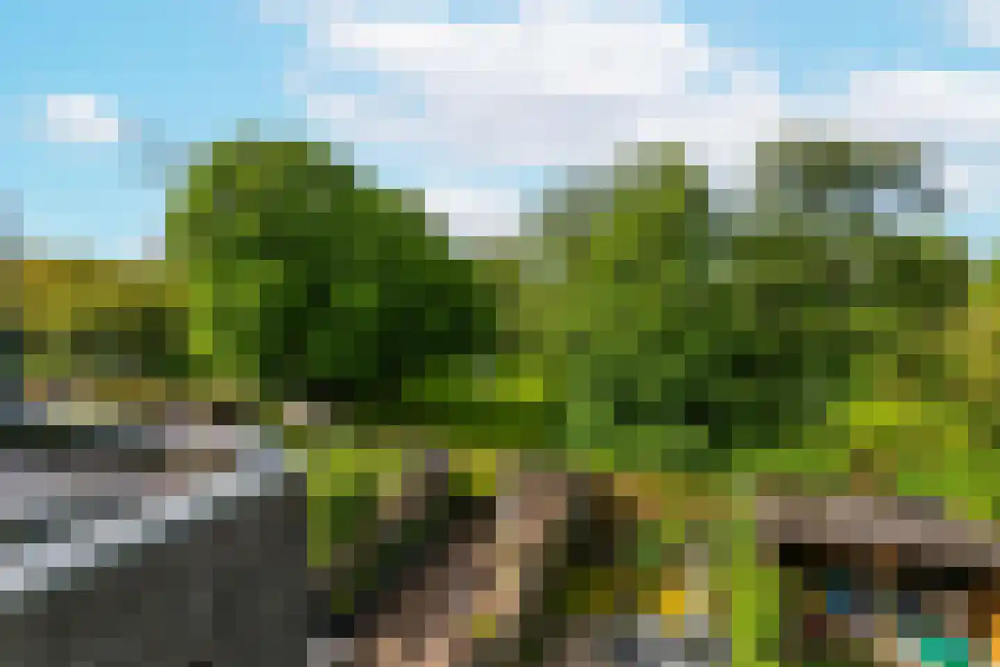 Boomstede 487 Maarssen thumbnail 39