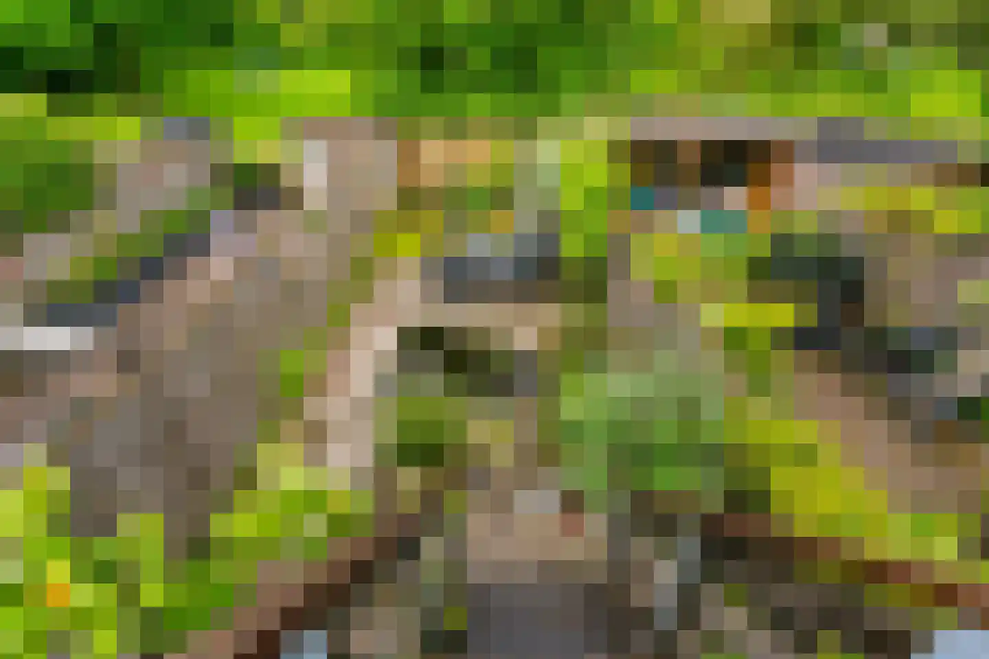 Boomstede 487 Maarssen thumbnail 41