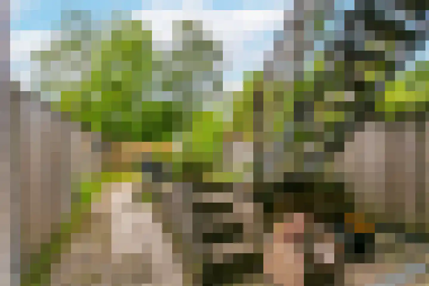 Boomstede 487 Maarssen thumbnail 42
