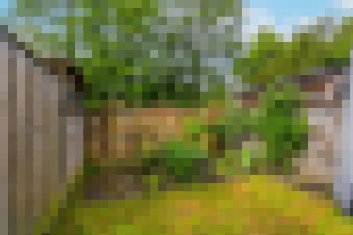 Boomstede 487 Maarssen thumbnail 44