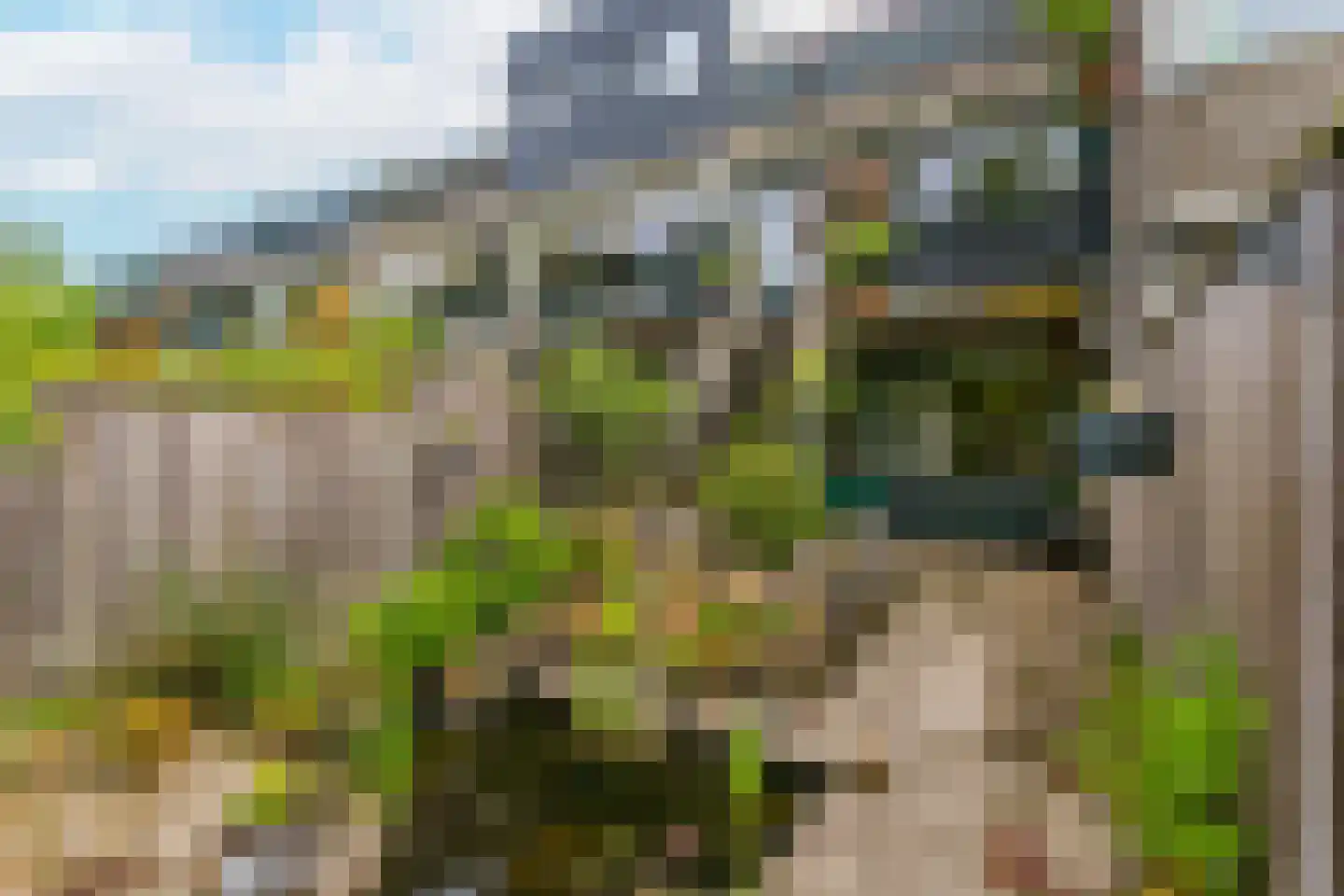 Boomstede 487 Maarssen thumbnail 45