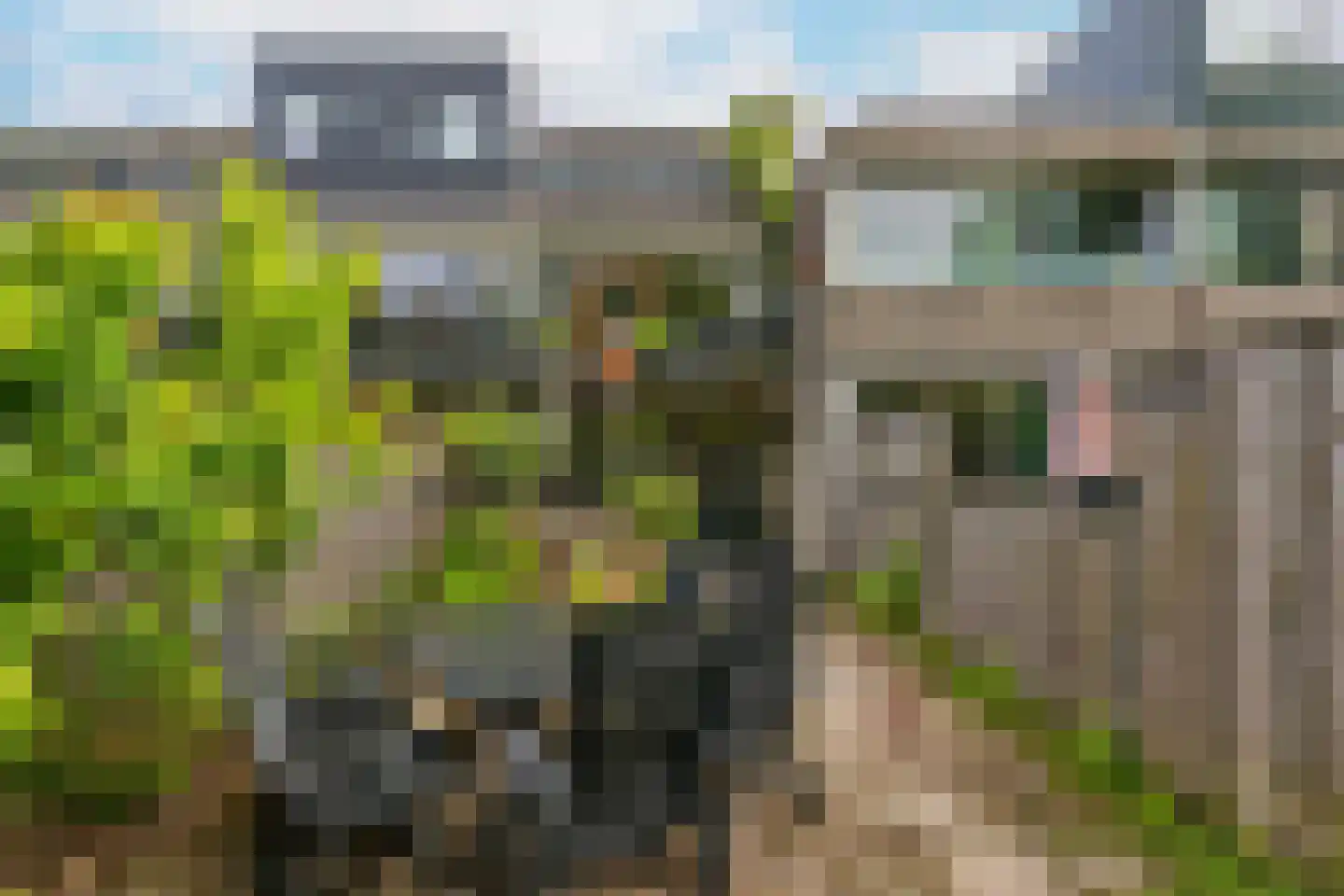 Boomstede 487 Maarssen thumbnail 47