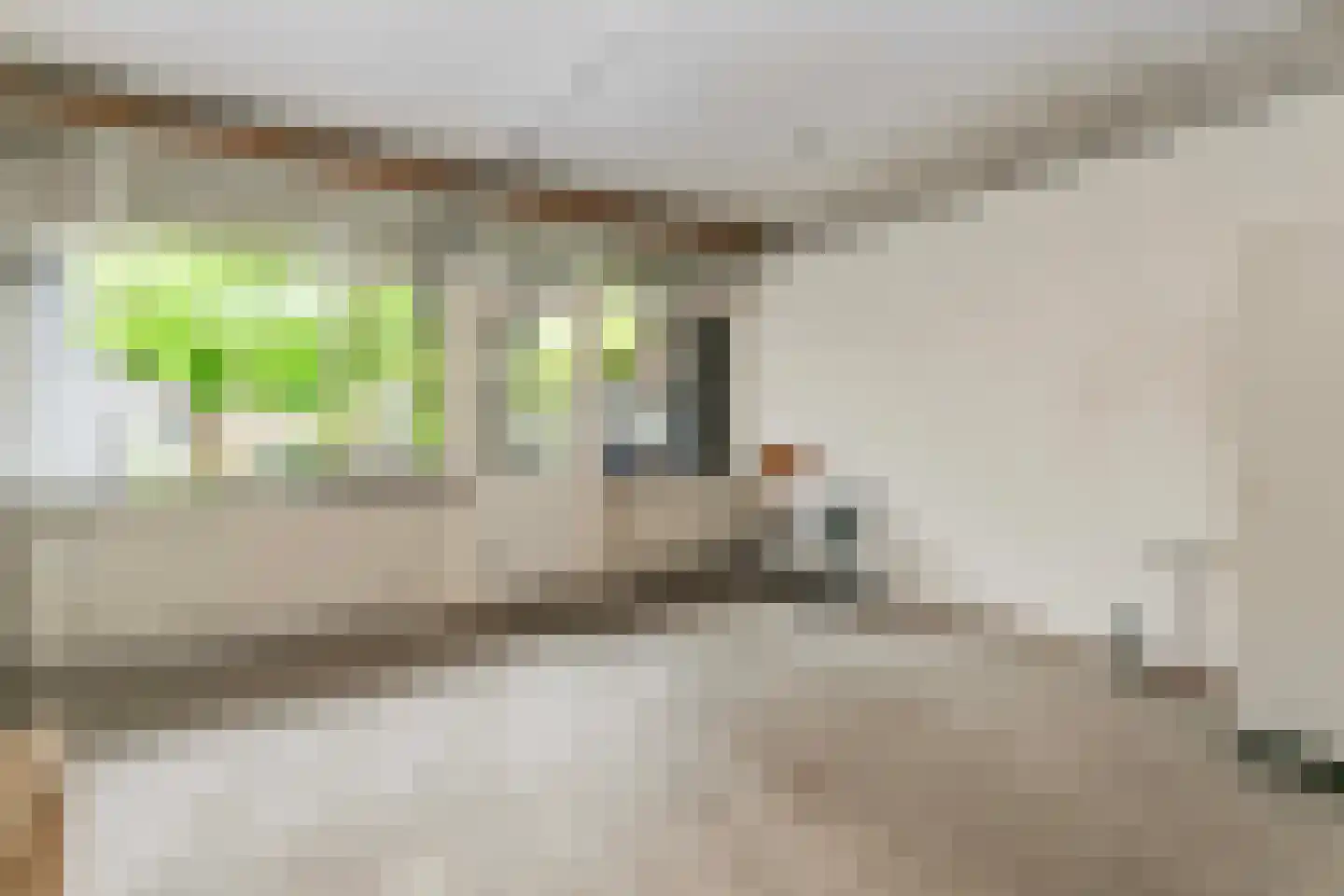 Boomstede 487 Maarssen thumbnail 9