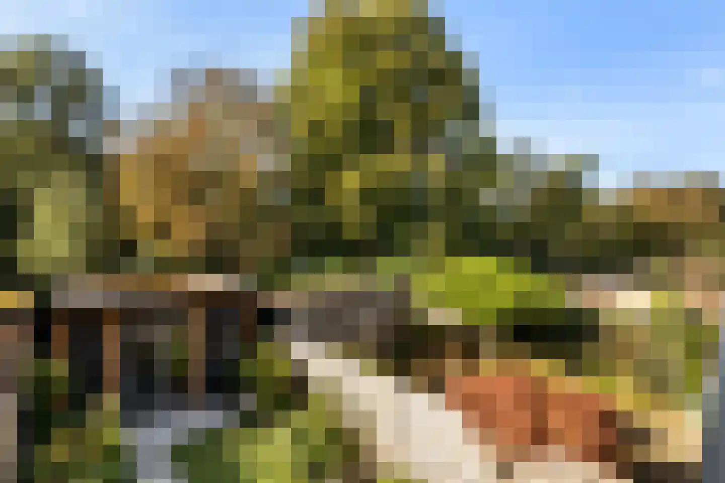 Boomstede 493 Maarssen thumbnail 12