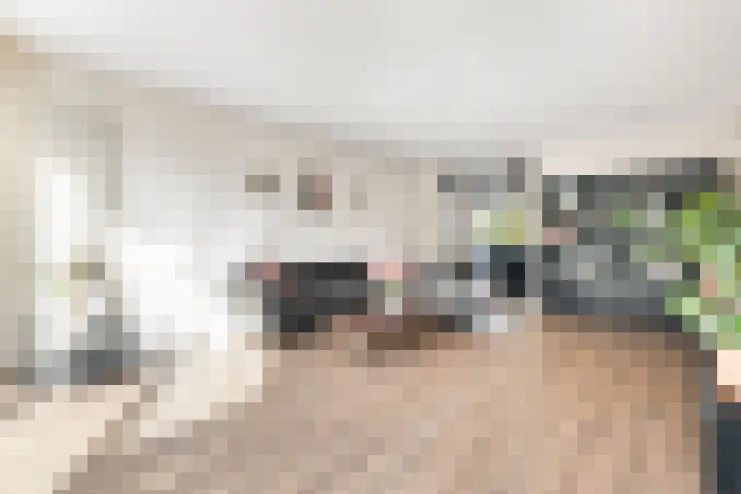 Boomstede 493 Maarssen thumbnail 4
