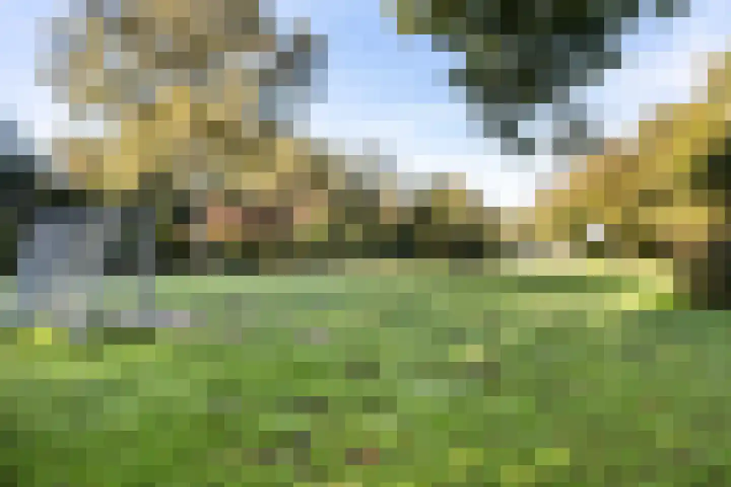 Boomstede 493 Maarssen thumbnail 41