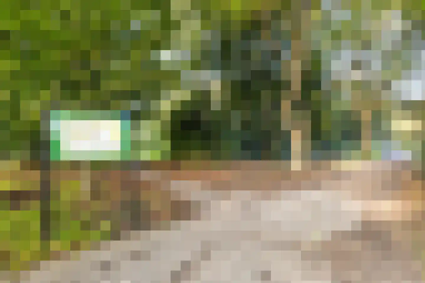Boomstede 493 Maarssen thumbnail 42
