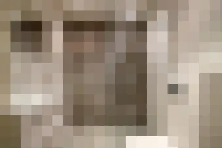 Boomstede 613 Maarssen thumbnail 22