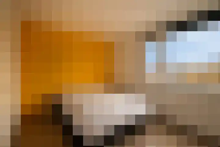 Boomstede 613 Maarssen thumbnail 23