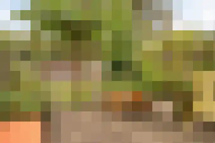 Boomstede 613 Maarssen thumbnail 24