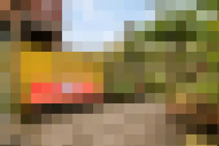 Boomstede 613 Maarssen thumbnail 25