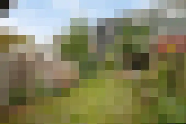 Boomstede 613 Maarssen thumbnail 26