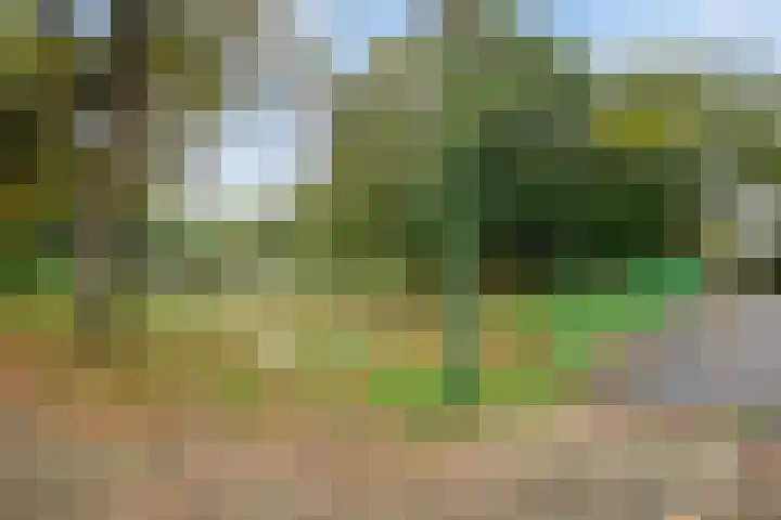 Boomstede 613 Maarssen thumbnail 27