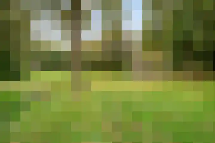 Boomstede 613 Maarssen thumbnail 28