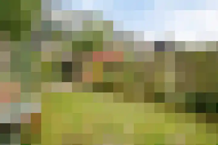 Boomstede 613 Maarssen thumbnail 29