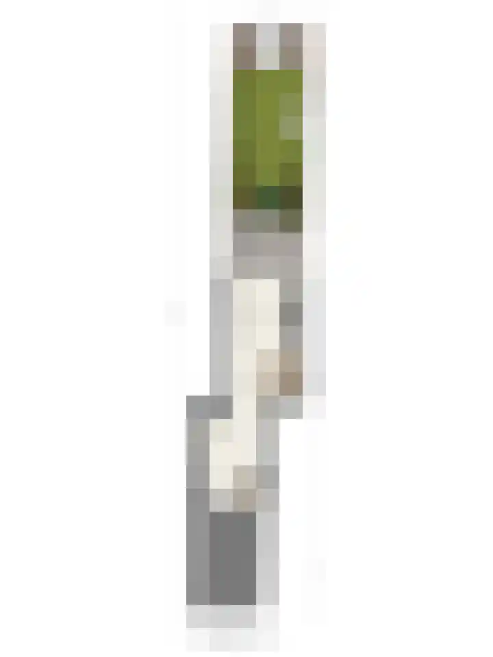 Boomstede 613 Maarssen thumbnail 34