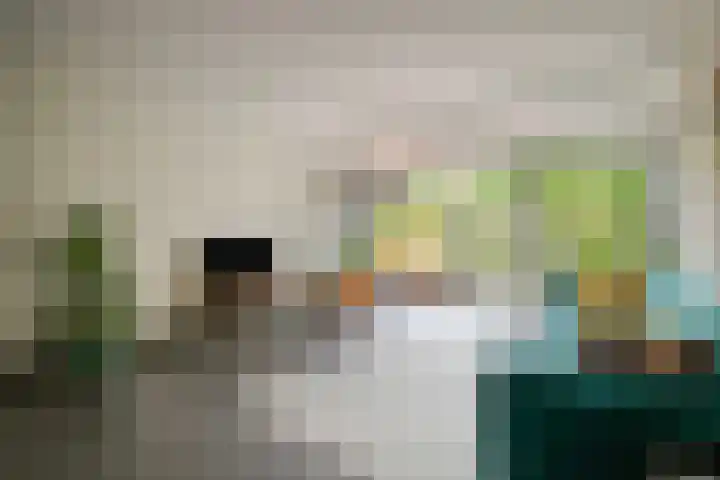 Boomstede 613 Maarssen thumbnail 8